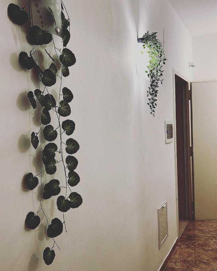 Esperanto B&B Bari Luaran gambar